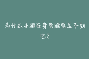 为什么小猫在身旁睡觉压不到它?-动物百科