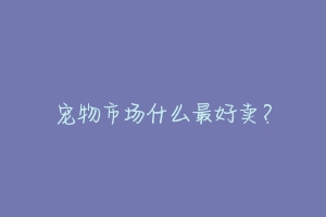 宠物市场什么最好卖?-动物百科
