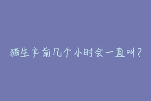 猫生产前几个小时会一直叫？-动物百科