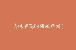 为啥睡觉时猫咪挤我?-动物百科