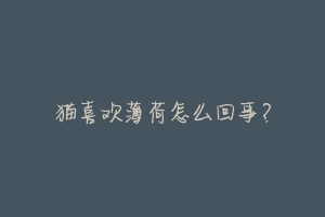 猫喜欢薄荷怎么回事?-动物百科