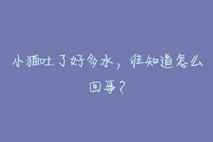 小猫吐了好多水,谁知道怎么回事?-动物百科