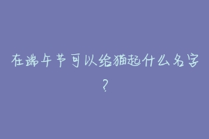 在端午节可以给猫起什么名字?-动物百科