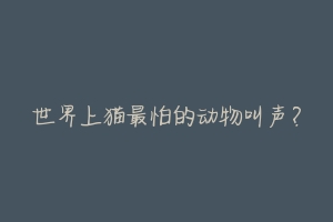 世界上猫最怕的动物叫声?-动物百科