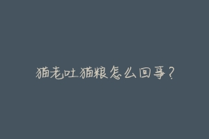 猫老吐猫粮怎么回事?-动物百科
