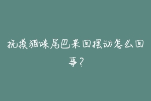 抚摸猫咪尾巴来回摆动怎么回事?-动物百科