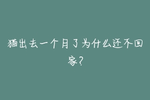 猫出去一个月了为什么还不回家?-动物百科