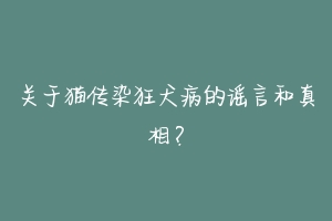关于猫传染狂犬病的谣言和真相?-动物百科