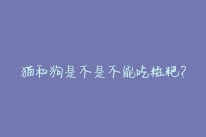 猫和狗是不是不能吃糍粑?-动物百科