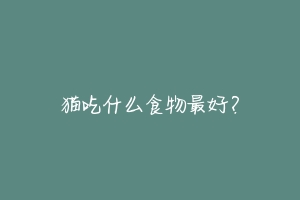 猫吃什么食物最好?-动物百科