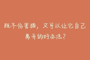 既不伤害猫,又可以让它自己离开的好办法?-动物百科