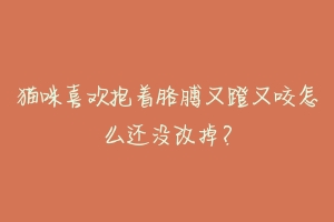 猫咪喜欢抱着胳膊又蹬又咬怎么还没改掉?-动物百科