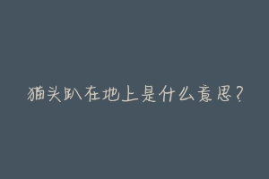 猫头趴在地上是什么意思?-动物百科