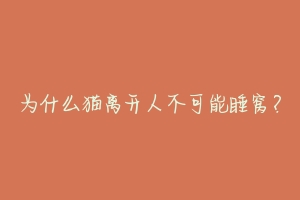 为什么猫离开人不可能睡窝？-动物百科