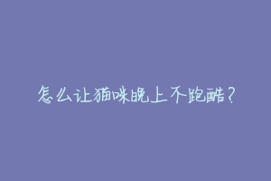 怎么让猫咪晚上不跑酷?-动物百科