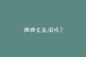 猫猫会流泪吗?-动物百科
