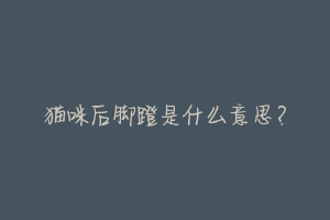 猫咪后脚蹬是什么意思?-动物百科