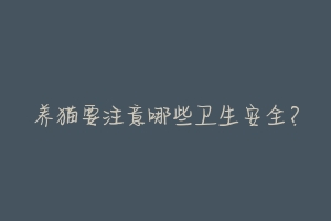 养猫要注意哪些卫生安全?-动物百科