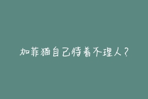 加菲猫自己待着不理人?-动物百科