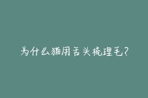 为什么猫用舌头梳理毛?-动物百科