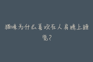 猫咪为什么喜欢在人肩膀上睡觉?-动物百科