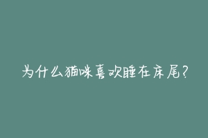 为什么猫咪喜欢睡在床尾?-动物百科