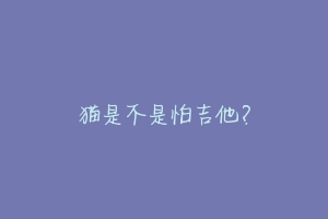 猫是不是怕吉他?-动物百科
