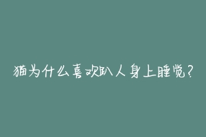 猫为什么喜欢趴人身上睡觉?-动物百科