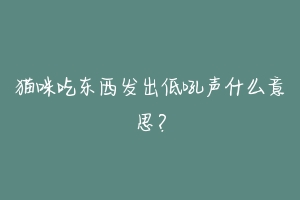 猫咪吃东西发出低吼声什么意思?-动物百科