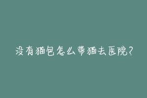 没有猫包怎么带猫去医院?-动物百科