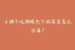 小猫不吃猫粮也不拉屎是怎么回事?-动物百科