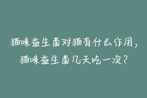 猫咪益生菌对猫有什么作用,猫咪益生菌几天吃一次?-动物百科