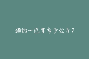 猫的一巴掌多少公斤?-动物百科