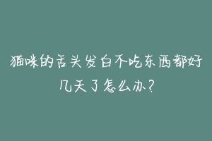 猫咪的舌头发白不吃东西都好几天了怎么办?-动物百科