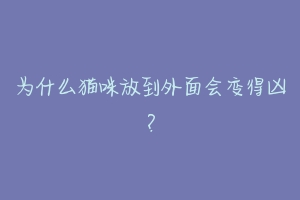 为什么猫咪放到外面会变得凶?-动物百科