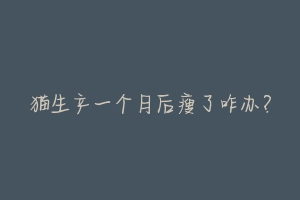 猫生产一个月后瘦了咋办?-动物百科