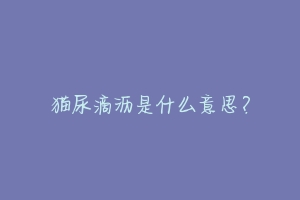 猫尿滴沥是什么意思?-动物百科