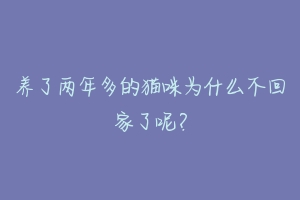 养了两年多的猫咪为什么不回家了呢?-动物百科