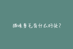 猫咪剪毛有什么好处?-动物百科