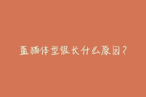 蓝猫体型很长什么原因?-动物百科