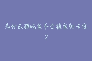 为什么猫吃鱼不会被鱼刺卡住?-动物百科