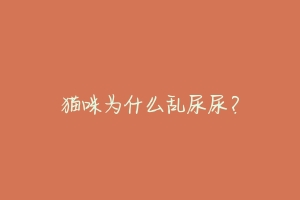 猫咪为什么乱尿尿?-动物百科