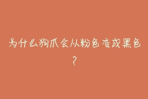 为什么狗爪会从粉色变成黑色?-动物百科