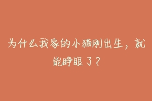 为什么我家的小猫刚出生,就能睁眼了?-动物百科