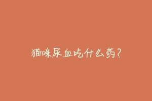 猫咪尿血吃什么药？-动物百科