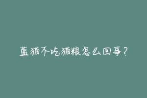 蓝猫不吃猫粮怎么回事？-动物百科