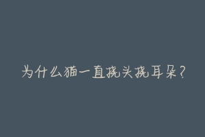 为什么猫一直挠头挠耳朵？-动物百科