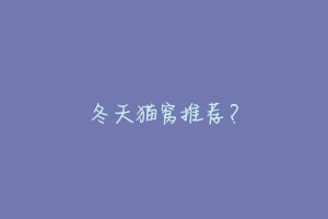 冬天猫窝推荐？-动物百科
