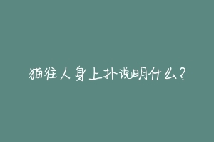 猫往人身上扑说明什么?-动物百科