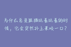 为什么总是跟猫玩着玩着的时候，它会突然扑上来咬一口？-动物百科